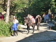 Françoise et Alain - Circuit au Yunnan - Septembre 2014 (12 jours)